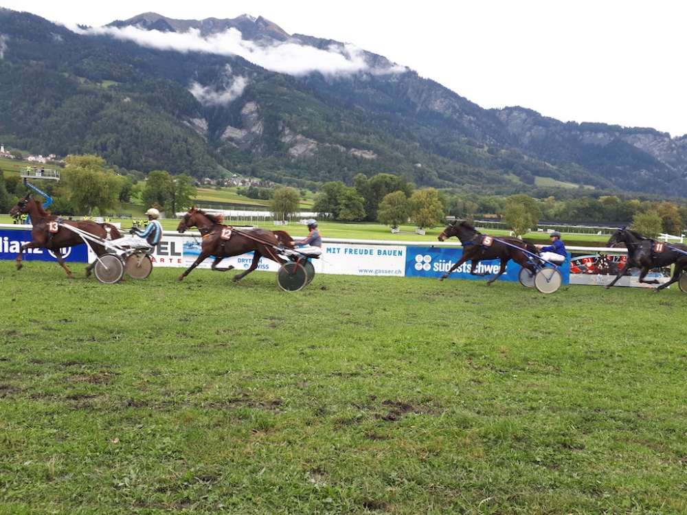 Vereinsauflug 2019 nach Maienfeld