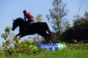 Herbstprüfung 26. Oktober 2019